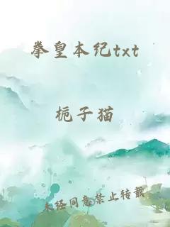 拳皇本纪txt