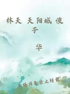 林天 天阳城 傻子