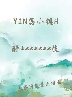 YIN荡小镇H