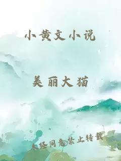 小黄文小说