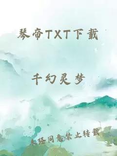 琴帝TXT下载