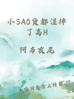 小SAO货都湿掉了高H