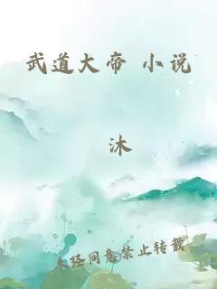 武道大帝 小说