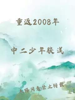 重返2008年