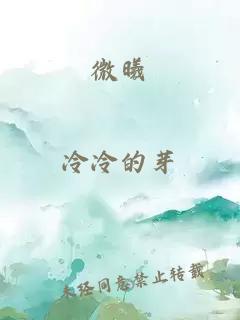 微曦