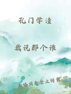 孔门学渣