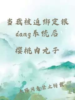 当我被迫绑定银dang系统后