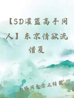 【SD灌篮高手同人】东京情欲流