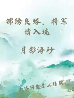 锦绣良缘，将军请入坑