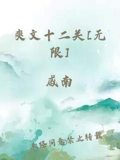 爽文十二关[无限]