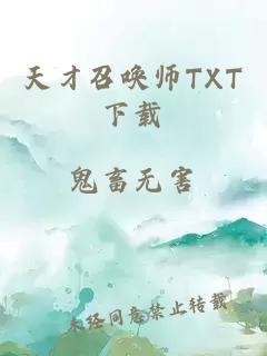 天才召唤师TXT下载