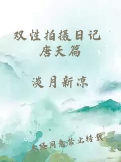 双性拍摄日记 唐天篇